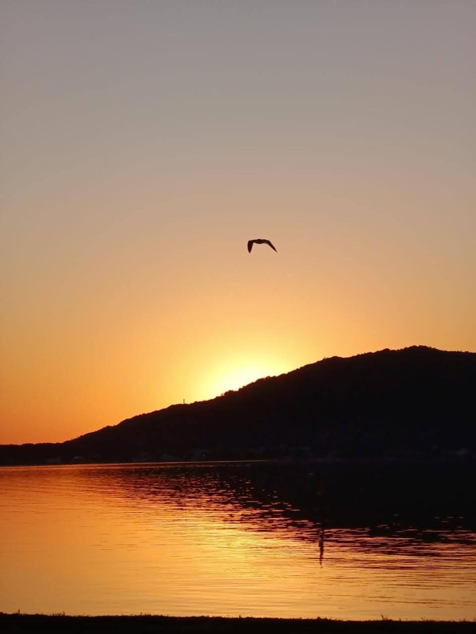 شقة Morada Vo Rita Florianópolis المظهر الخارجي الصورة